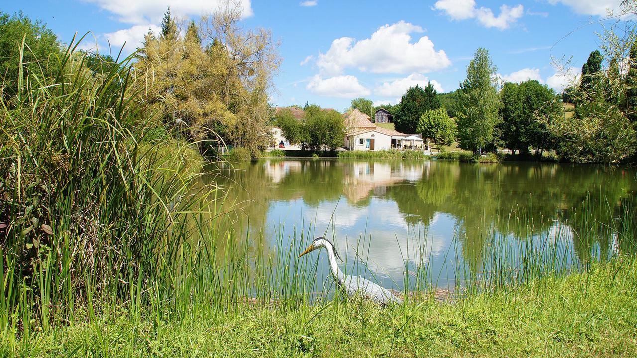 Issac Le Domaine De L'Etang De Sandanet מראה חיצוני תמונה