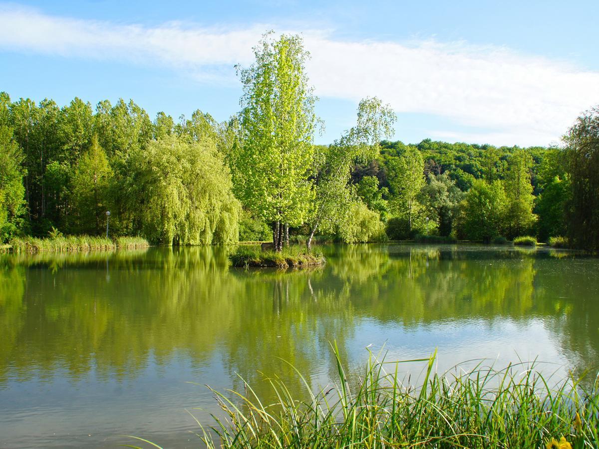 Issac Le Domaine De L'Etang De Sandanet מראה חיצוני תמונה